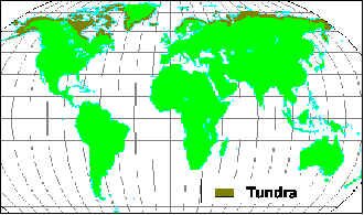 wpe9.jpg (17952 bytes)