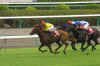 prompt horse race.jpg (331925 bytes)