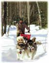 prompt musher.jpg (54118 bytes)